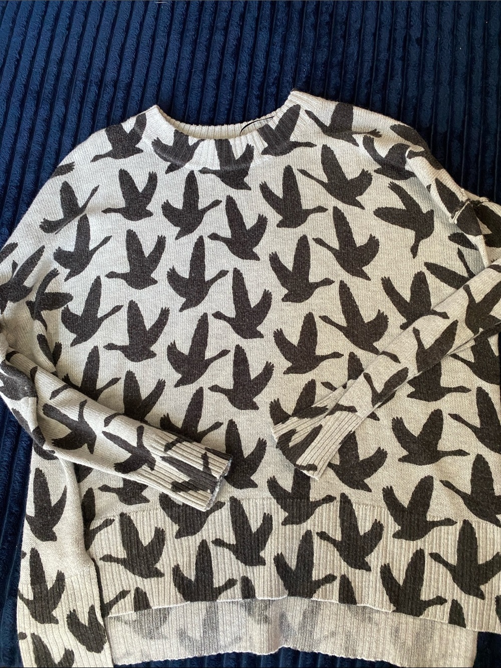 H&M Cream Sweater with Black Bird Motif